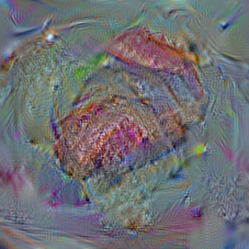n07871810
